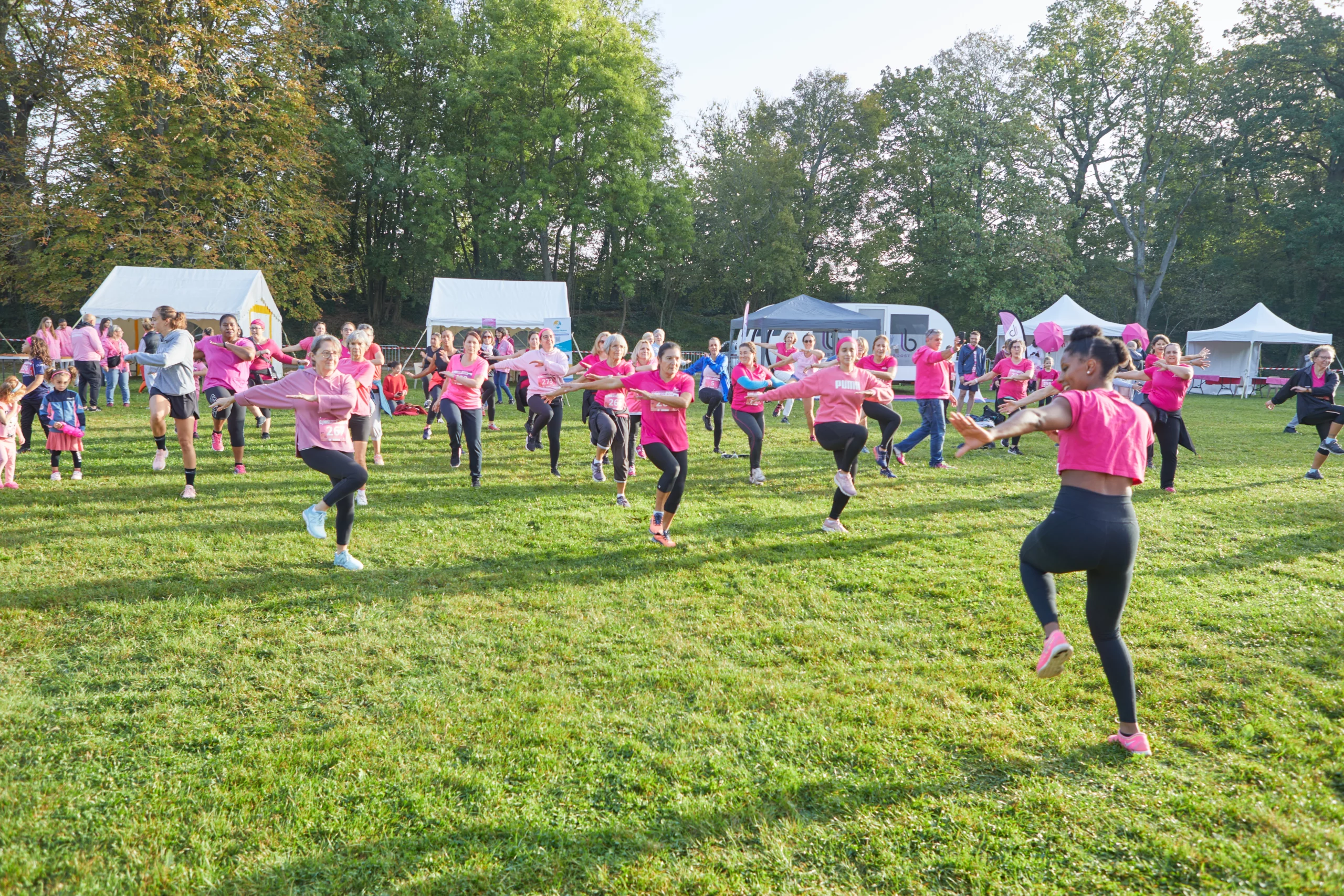 Meudon Run Rose
